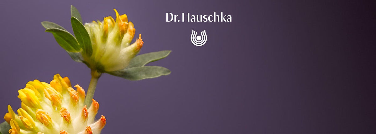 Gesichtspflege