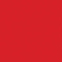 FineTex Pro "Classic'" Friseurhandtuch Rot 50 cm x 90 cm 