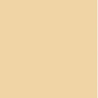 FineTex Pro "Classic'" Friseurhandtuch Vanilla 50 cm x 90 cm 