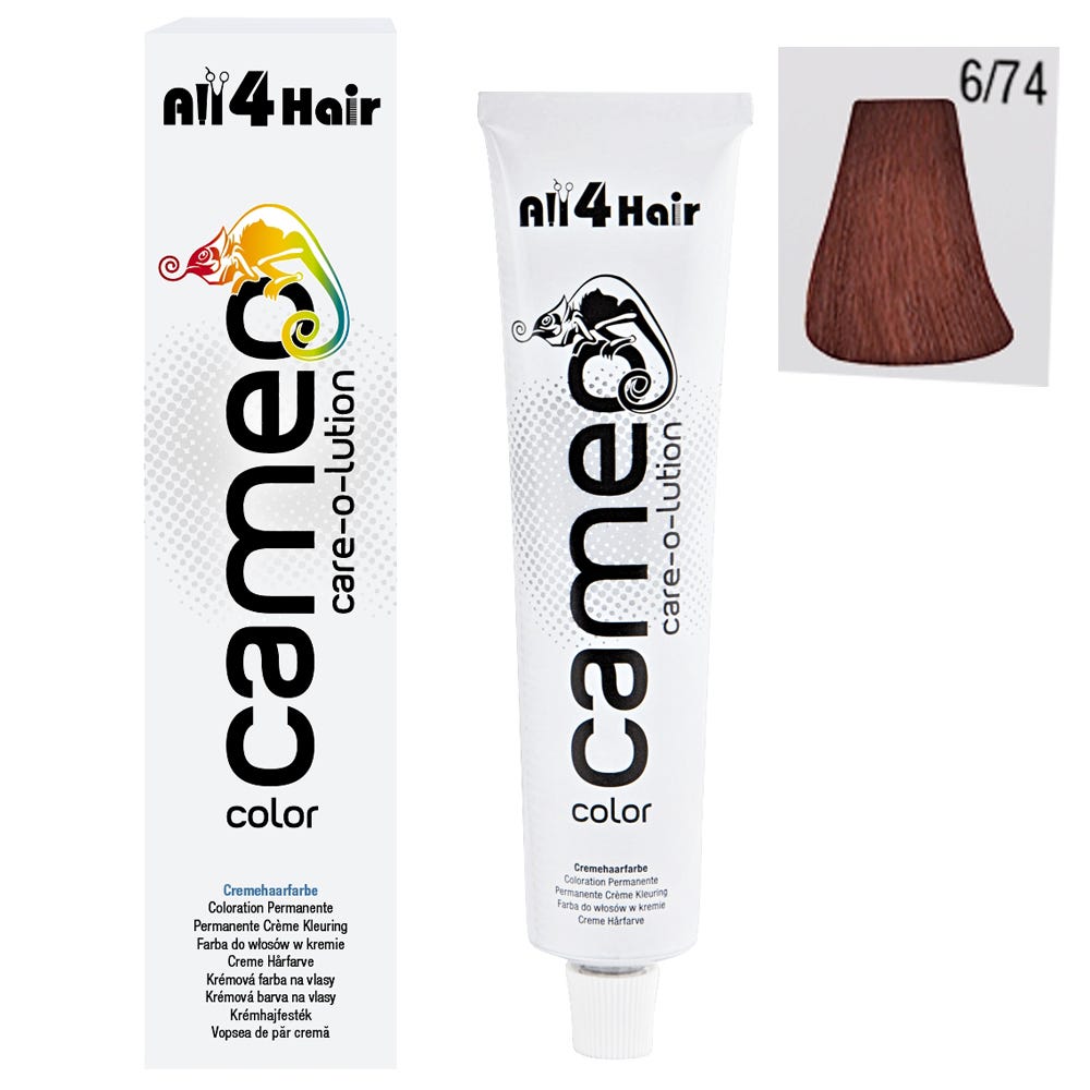 12028791-Farbe-C Col 6/74 dunkelblond braun-rot
