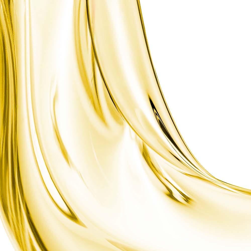 Leonor Greyl L'Huile de Leonor Greyl 95 ml