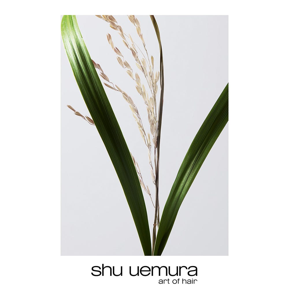 shu uemura Ultimate Reset Shampoo 250 ml