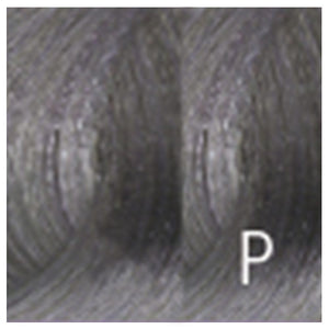 10DL Ultra Light Blonde Dusty Lavender