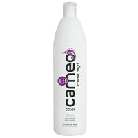 1000 ml