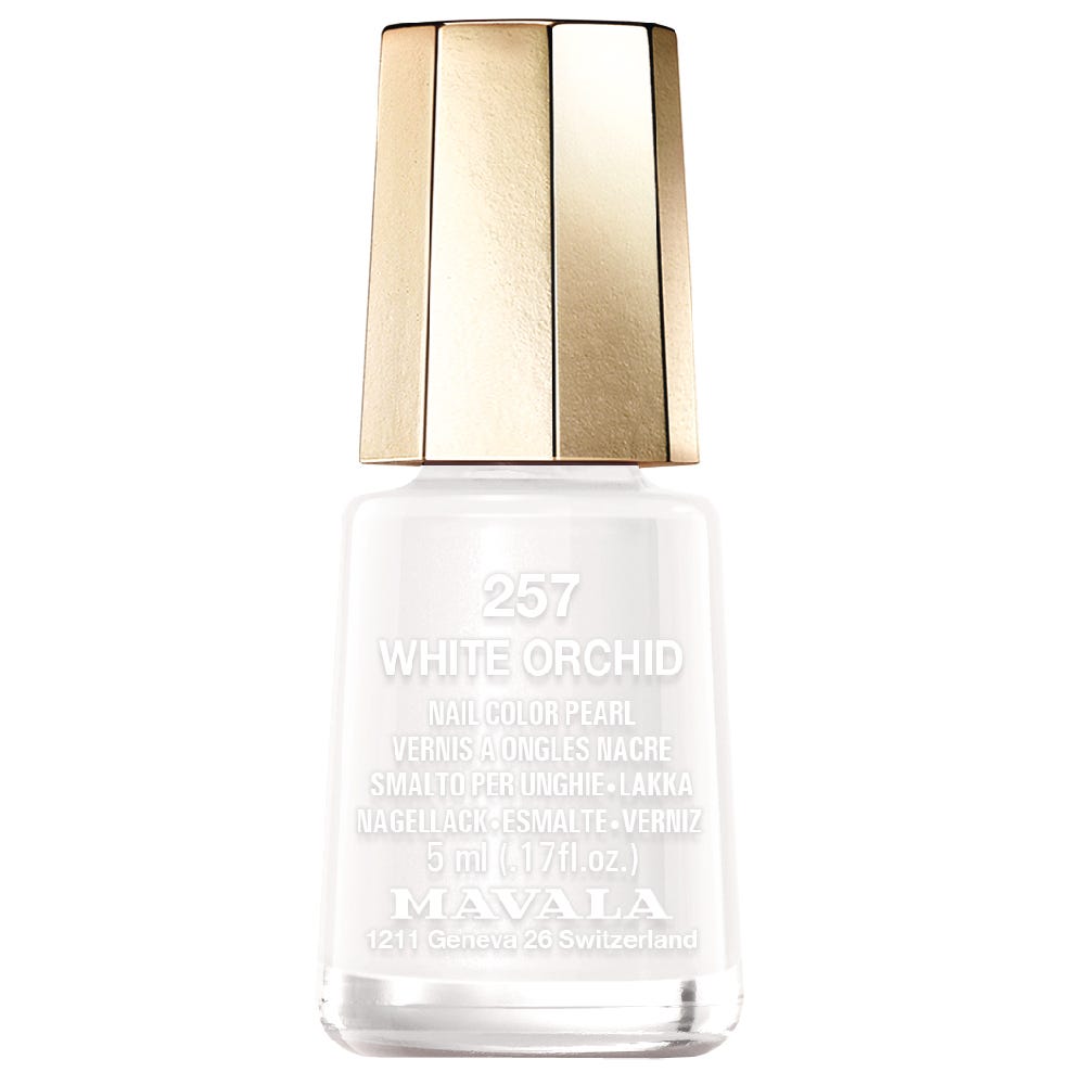 12080492-Farbe-White Orchid