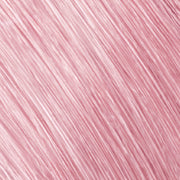 12086991-Farbe-Elumenated 10 rose