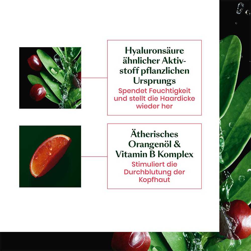 12088742-Menge-200 ml