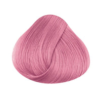 Pastel Rose