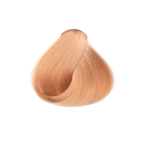 9.7 Very Light Brunette Blonde