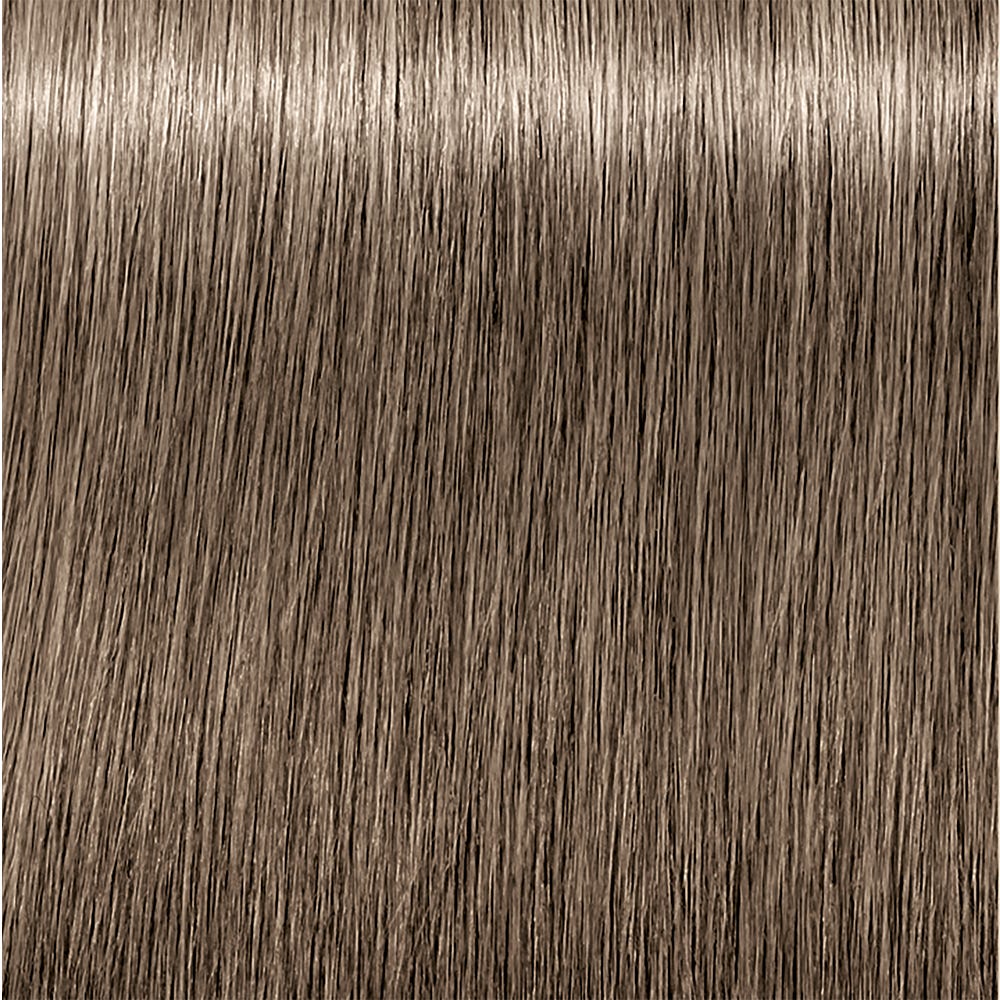 12109996-Farbe-8.1 Hellblond asch