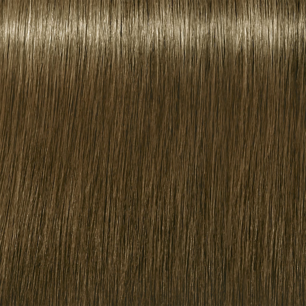 12110001-Farbe-8.18 Hellblond Asch Schoko 60 ml