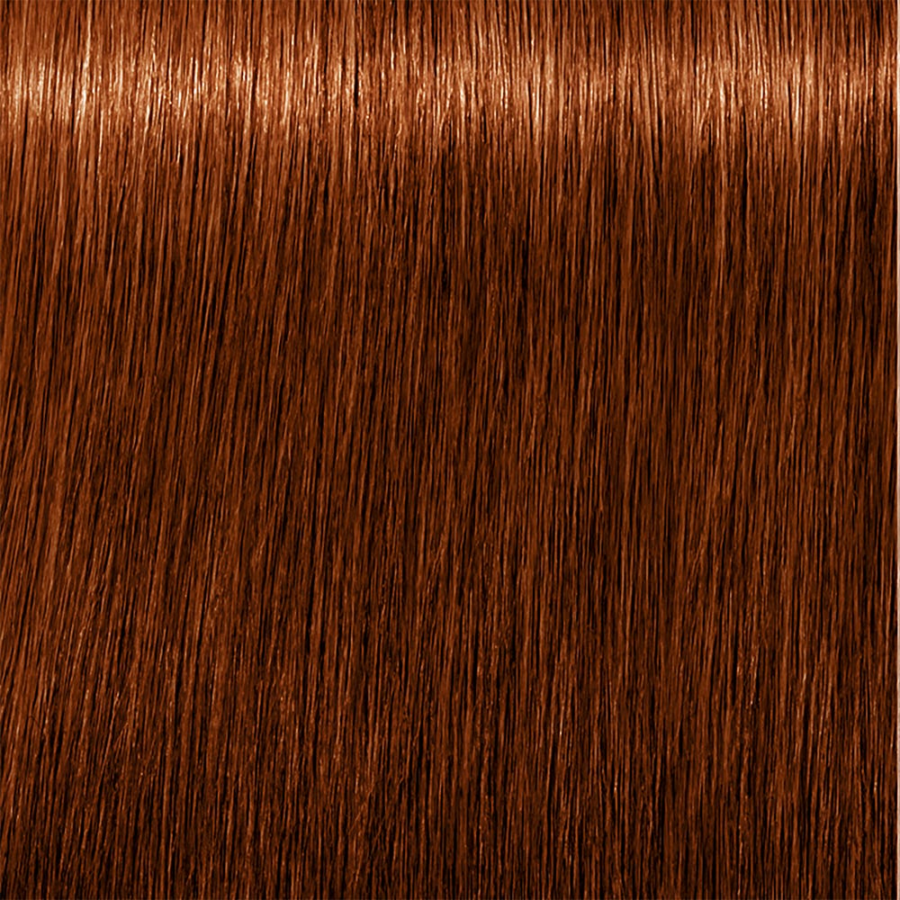 12110066-Farbe-5.6+ Hellbraun Rot