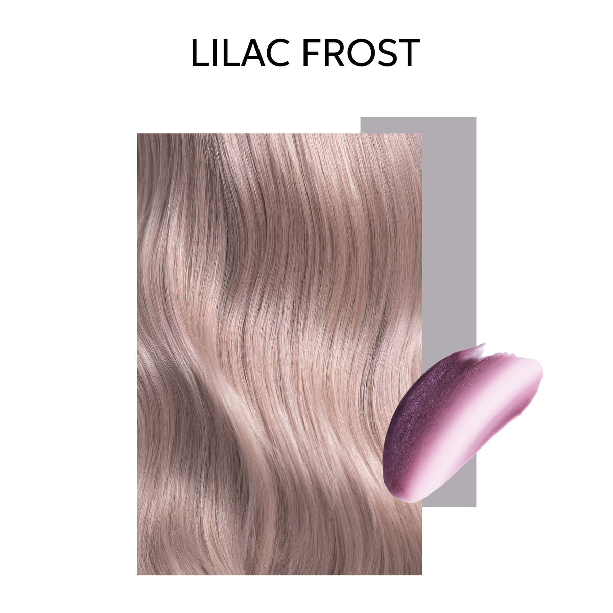 12113472-Farbe-Lilac Frost
