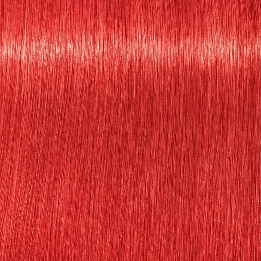 12118748-Farbe-0-88 Rot Konzentrat