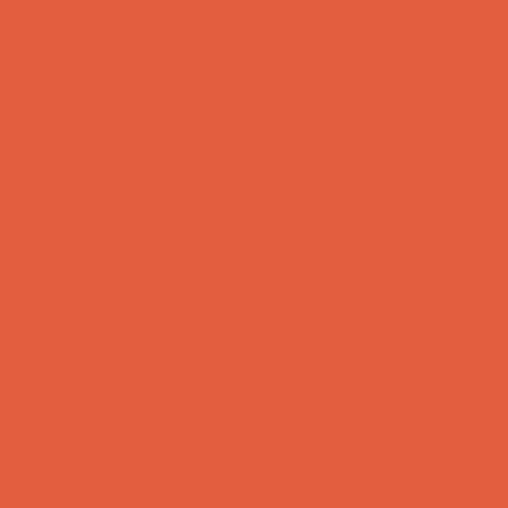 12120409-Farbe-Always within Peach