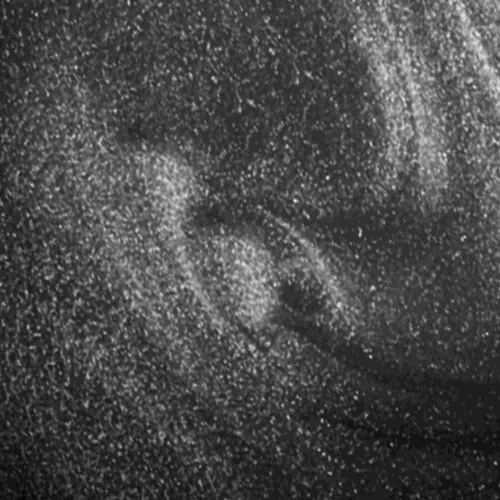 12120421-Farbe-Stay & Night