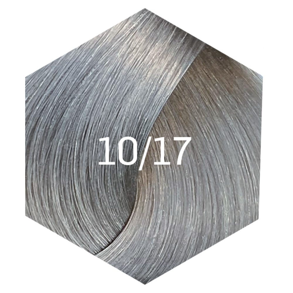 12121440-Farbe-10/17 Platinblond Asch-Blau Silber