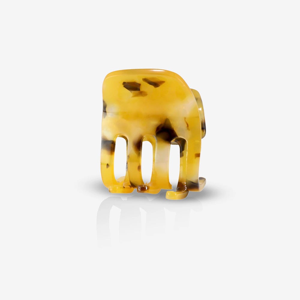 12122037-Farbe-Tiger