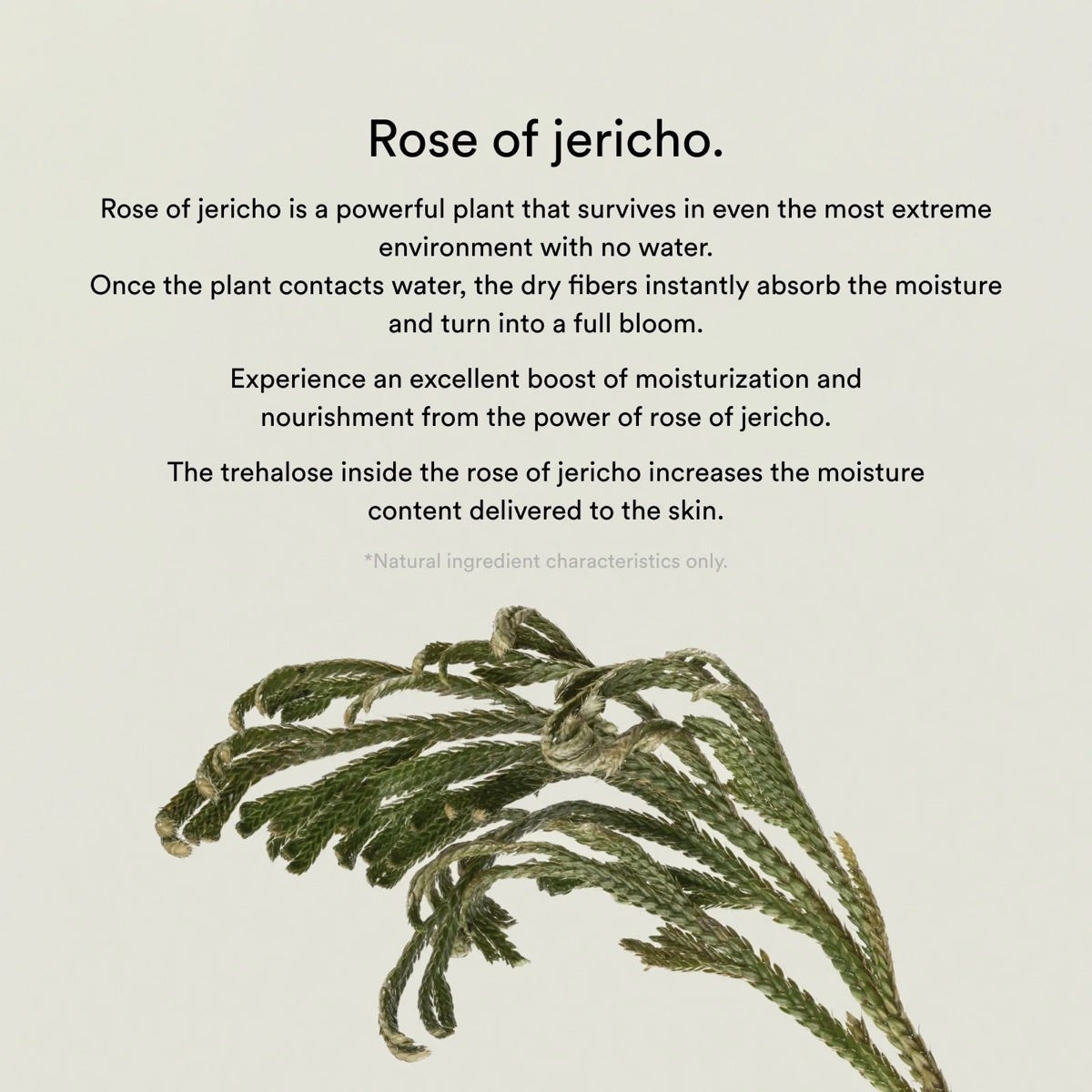 Abib Collagen Gel Mask Jericho Rose Jelly 1Stk