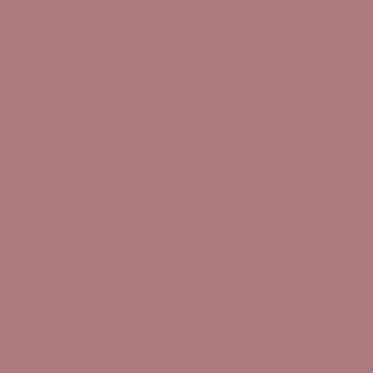 12132024-Farbe-Prune