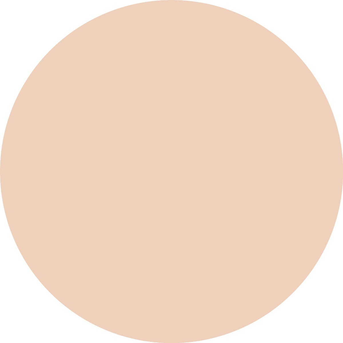 12134979-Farbe-001