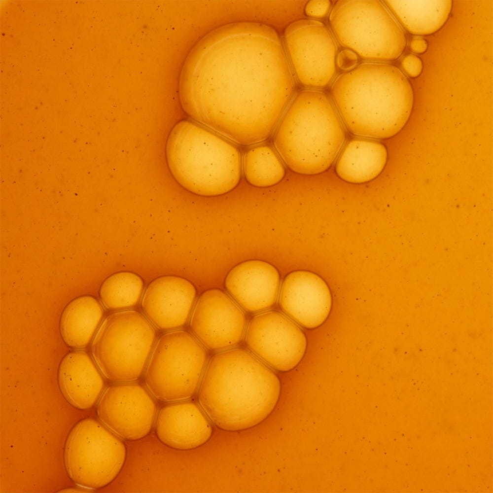 Olistic Women 28 x 25 ml