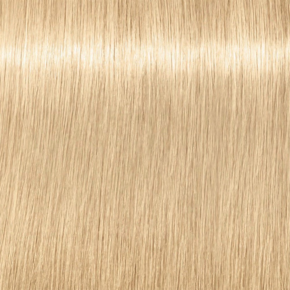 12139175-Farbe-Spezialblond Natur