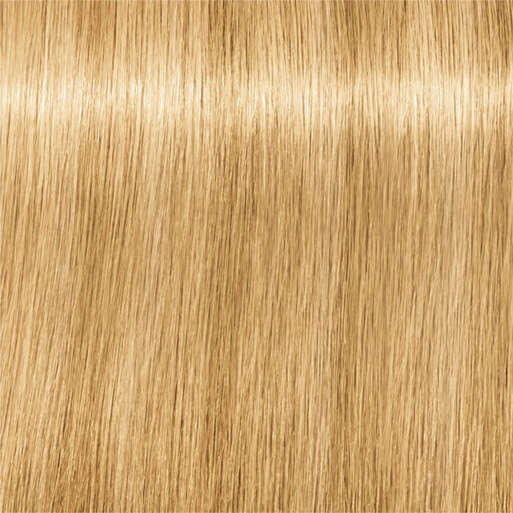 12139176-Farbe-Natur Extra