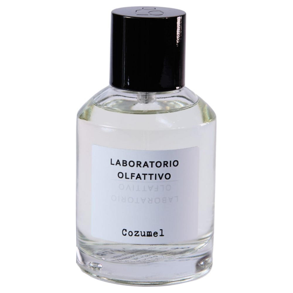 12145138-Menge-100 ml