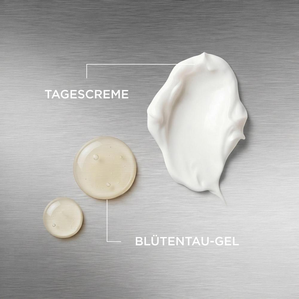 ANNEMARIE BÖRLIND Börlind SKIN REGENERATION Set