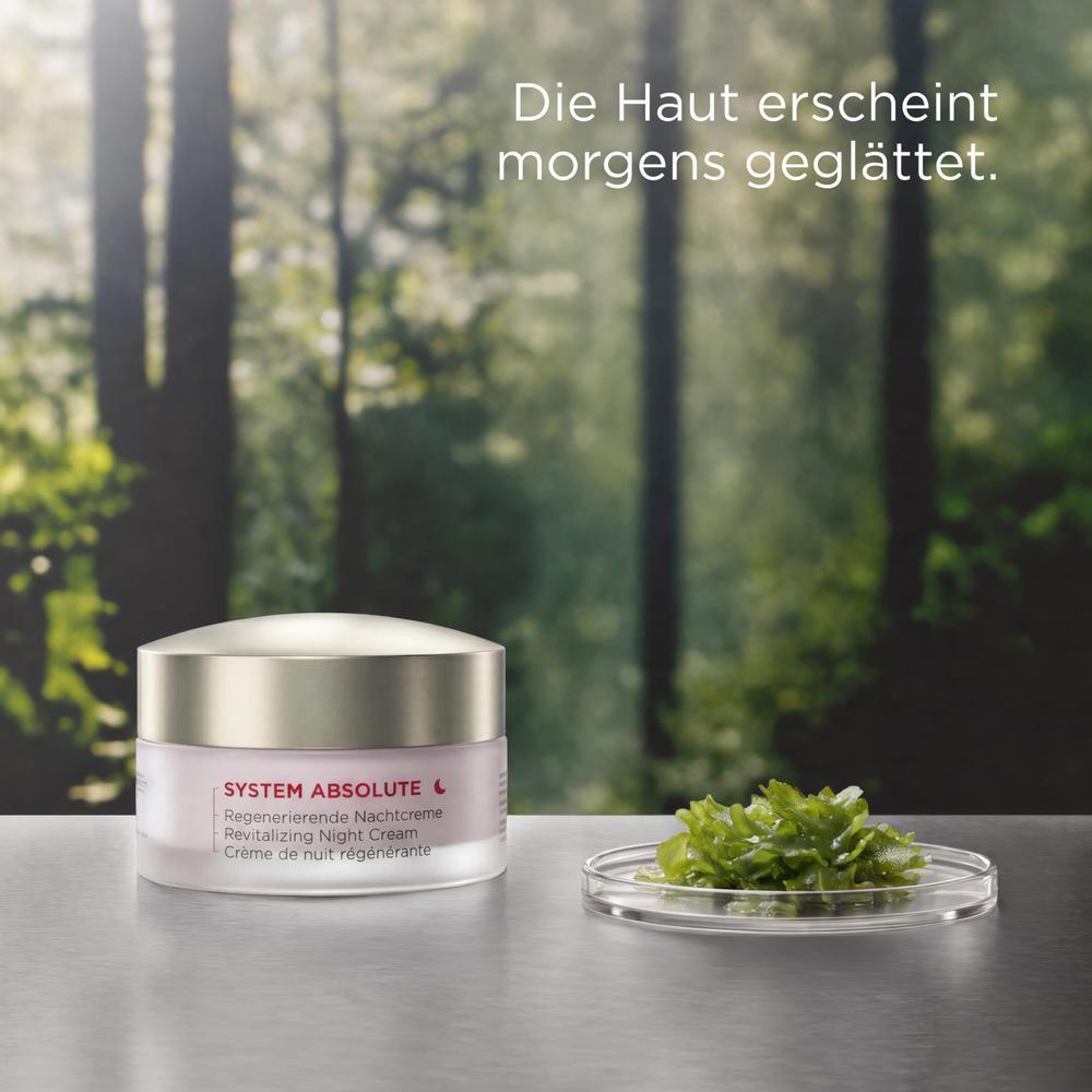 ANNEMARIE BÖRLIND  SYSTEM ABSOLUTE Regenerierende Nachtcreme 50 ml