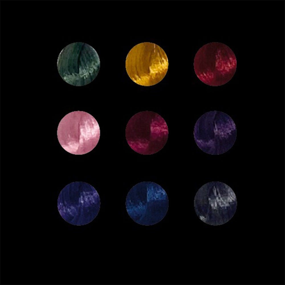 12146524-Farbe-Rose/06
